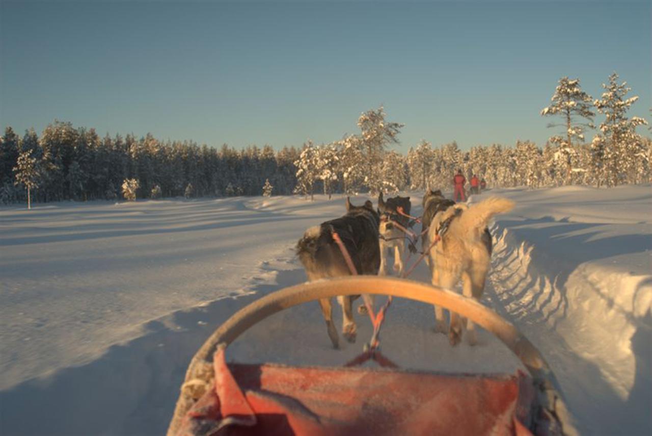 Arctic Panorama Lodge Uløybukta Zewnętrze zdjęcie