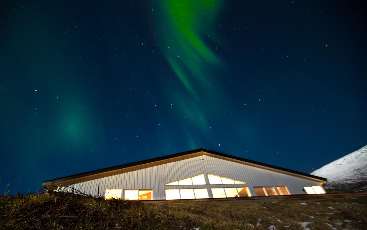 Arctic Panorama Lodge Uløybukta Zewnętrze zdjęcie