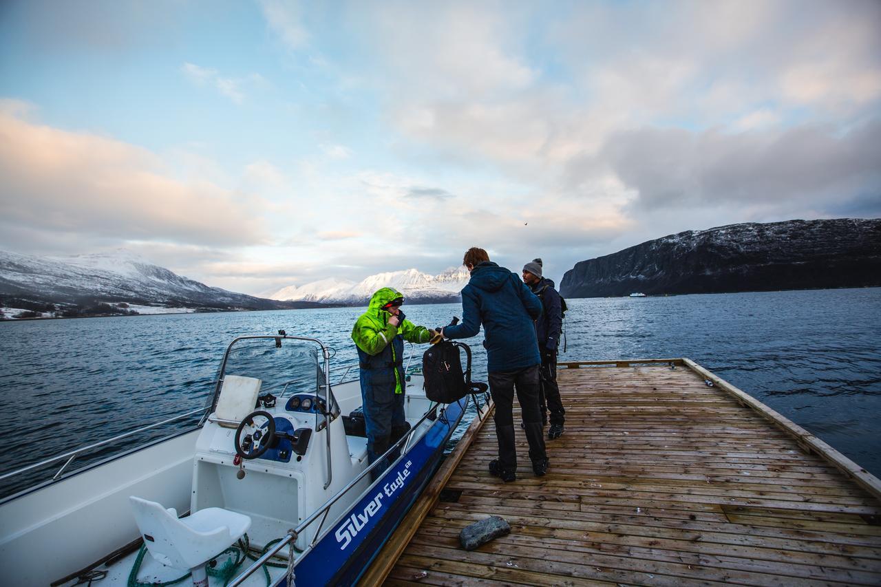 Arctic Panorama Lodge Uløybukta Zewnętrze zdjęcie