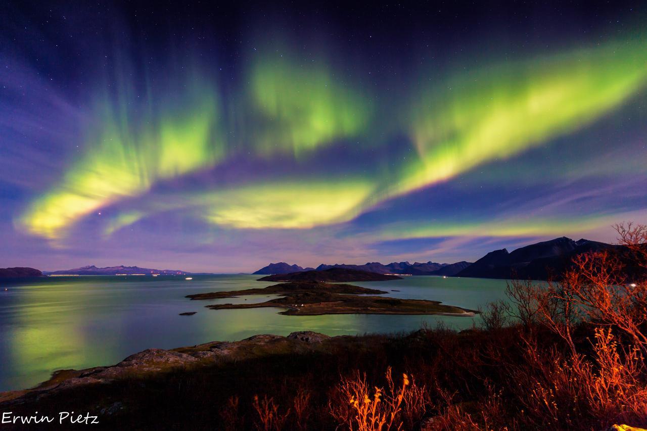 Arctic Panorama Lodge Uløybukta Zewnętrze zdjęcie